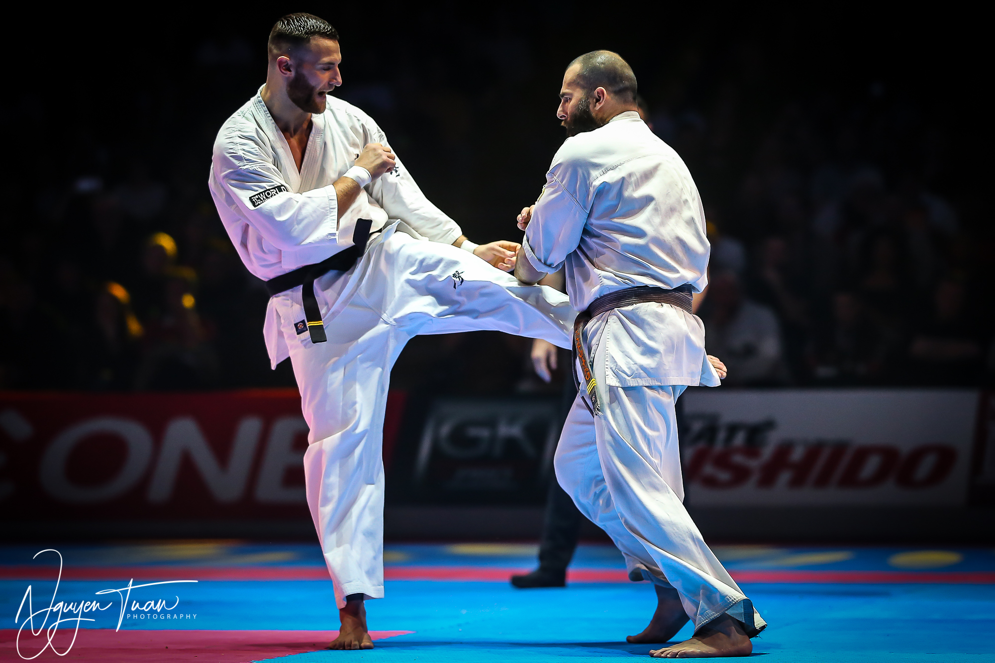 20190324 Festival des Arts Martiaux 6092